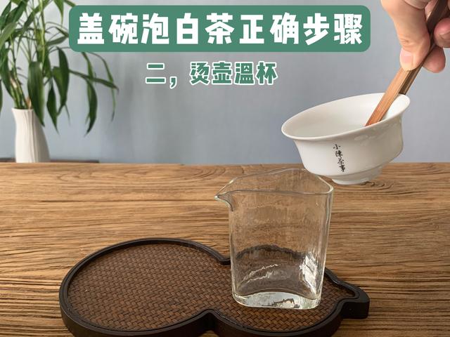 茶道入门泡茶顺序，茶道入门茶道基本步骤（教你用最少的时间从菜鸟到高手）