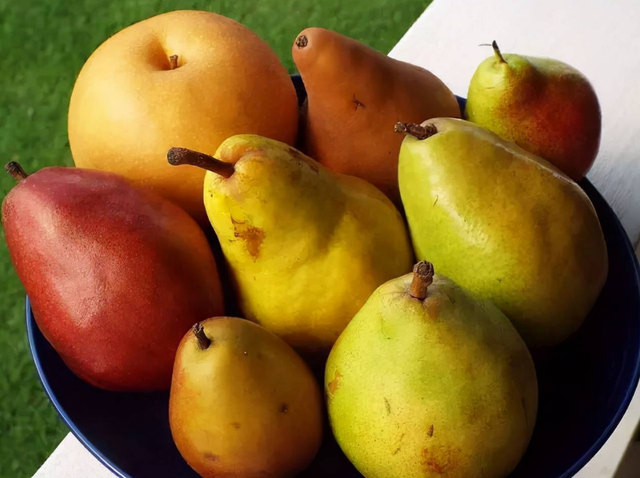 守孝三年的规矩，守孝三年的规矩不能结婚（农村古语：“上坟三不带）