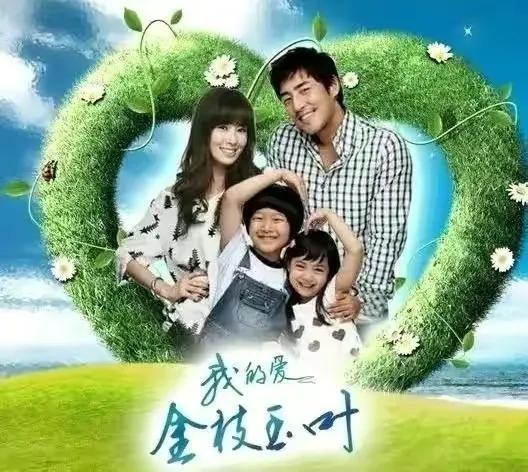 高斗心主演的电视剧，高斗心（10部50集以上的长篇韩剧）