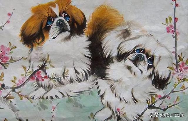 动物分为哪六大类，1000个动物名字（排列到底是按照什么顺序排列的）