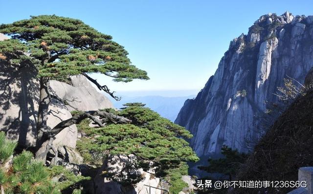 五岳它们分别有多少米，五岳分别是多少米（你知道当中哪座山最高吗）