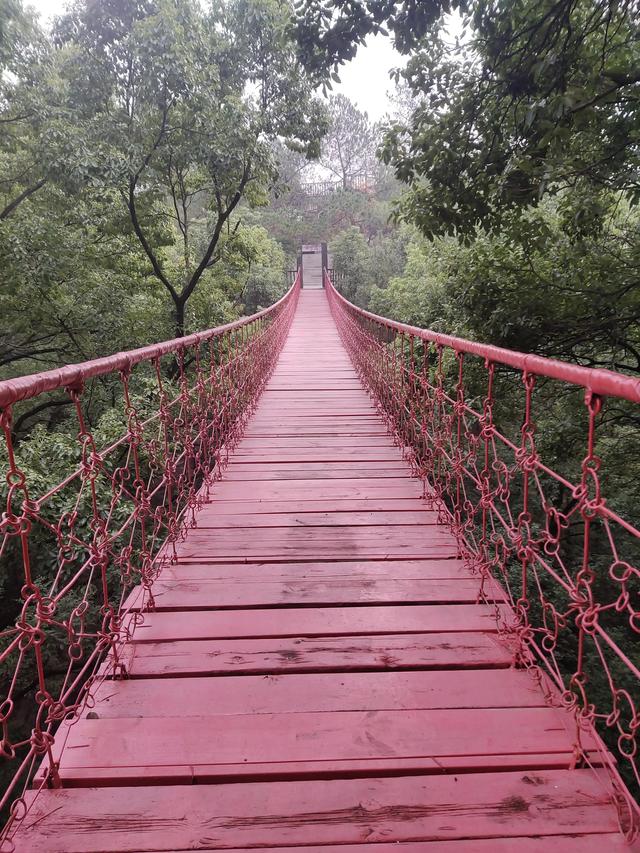 歌乐山森林公园，重庆旅游必去景点（歌乐山国家森林公园）