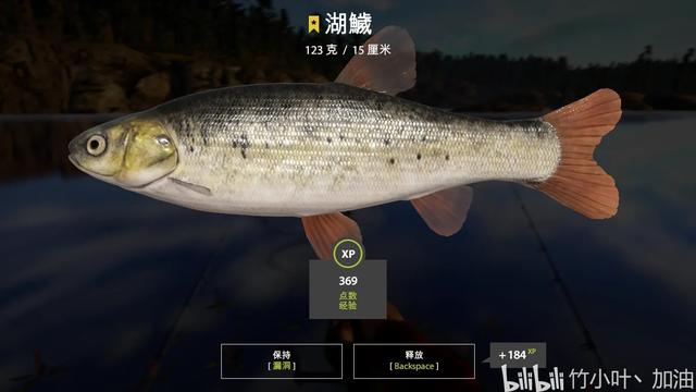 白色的鱼是什么鱼，白色的观赏大鱼是什么鱼（黑龙江鱼类之“三十二杂鱼”图谱）