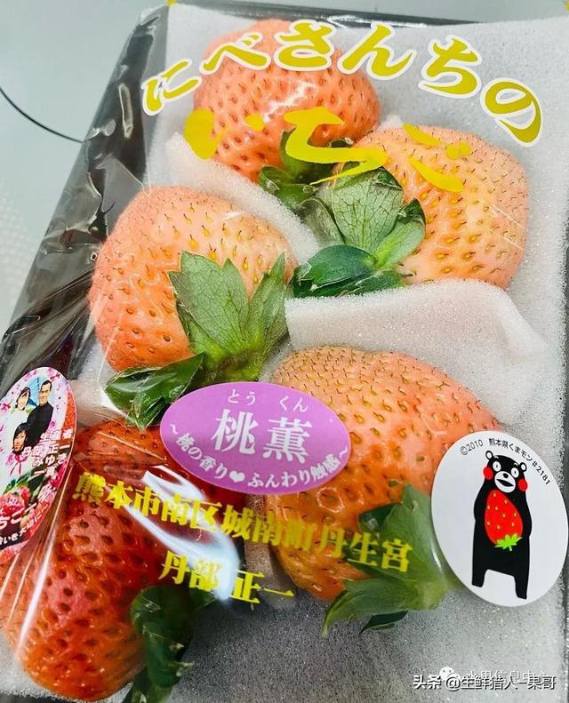 九九草莓特点，九九草莓有几个品种（中国草莓主要产地分布及品种介绍）