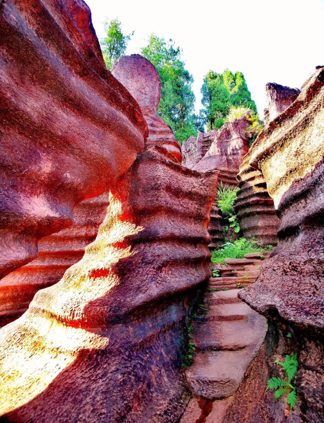 湘西终于开通高铁了，“湘西最美高铁”即将通车