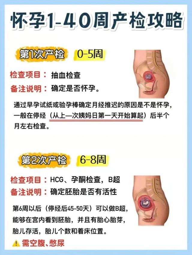 孕妇检查项目时间表0--10月，孕期1到10个月检查表（超全孕期检查时间表）