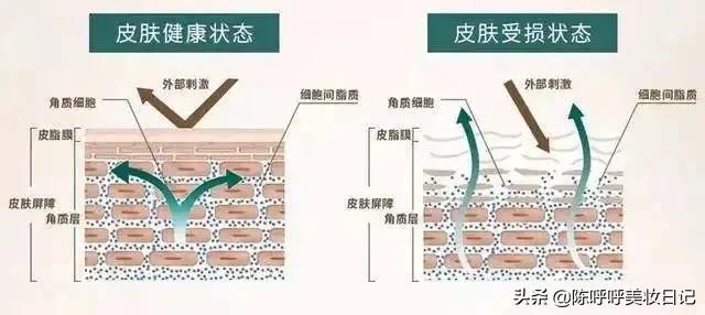 柔肤水和爽肤水的区别在哪里，爽肤水和柔肤水区别有哪些（化妆水怎么用才能事半功倍）