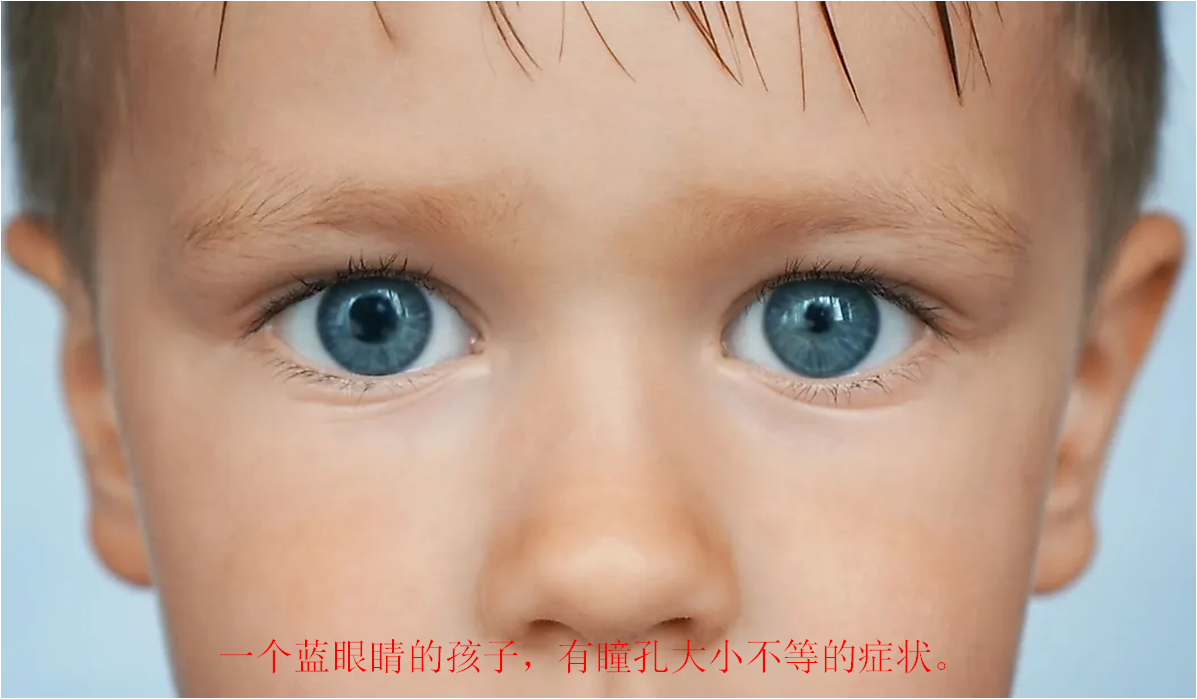 什么颜色对眼睛好，哪些颜色对眼睛好（各种眼睛颜色的人口比例是多少）