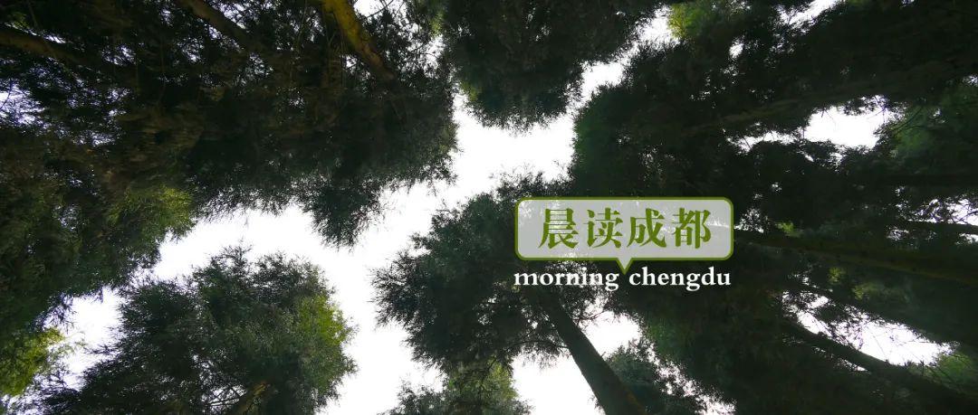 四川省机电工程学校（晨读成都）