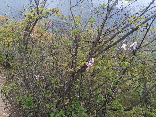 秦岭简单的爬山穿越线路，穿越秦岭子午大环线