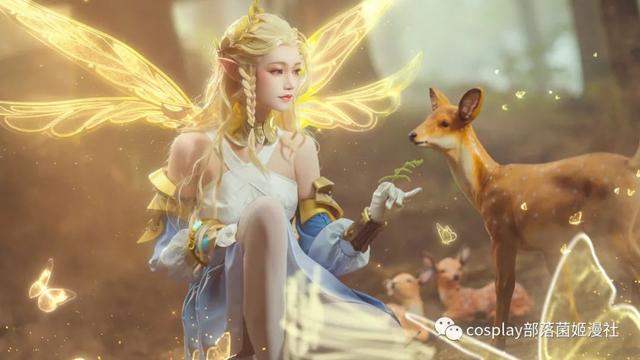 艾琳森林，王者荣耀艾琳cos正片（艾琳森林攻略）