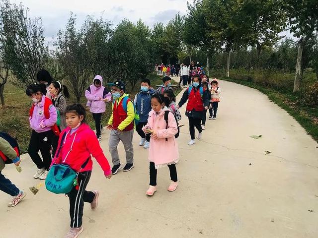 普罗旺斯薰衣草花语，普罗旺斯薰衣草简介（威海临港竟藏有一个“普罗旺斯”）