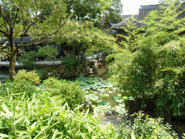 描述拙政园里的石舫，对拙政园的描写（金秋荷香——苏州拙政园<十>）