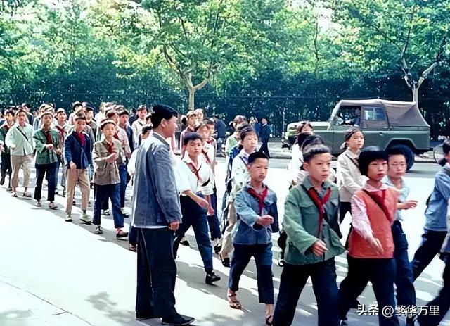 行政区划调整最新消息，河南最新区划调整是真的吗（南宁市的区划调整）