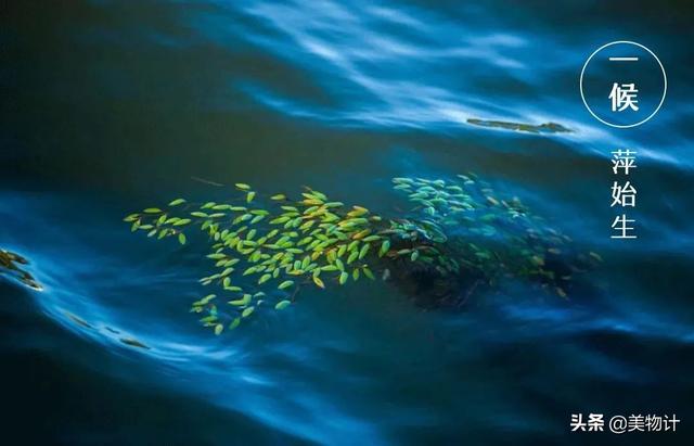 谷雨节气的介绍 二十四节气之谷雨内容文字，谷雨节气的介绍（谷雨：人间春暮，岁短情长）