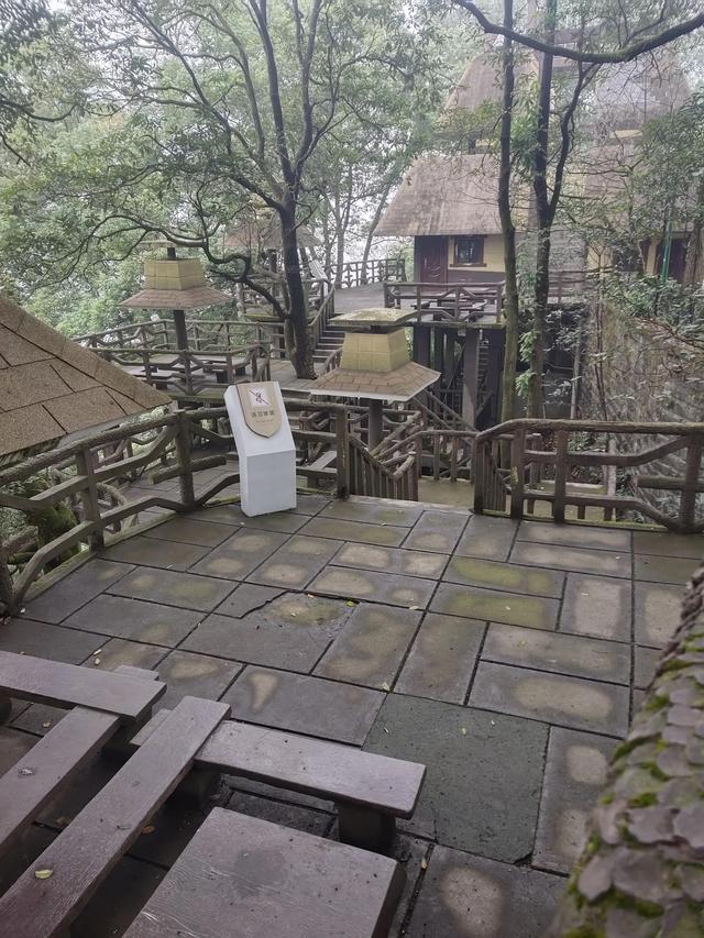 歌乐山森林公园，重庆旅游必去景点（歌乐山国家森林公园）