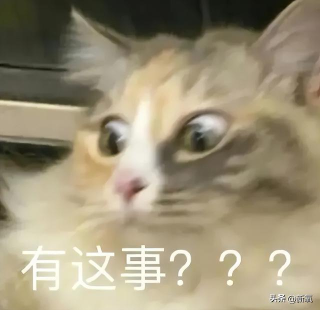 社会摇教学基本动作，社会摇基础动作教程（“校内丑关我校外什么事”越来越疯狂了）