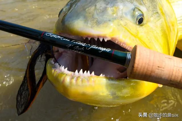 颚骨，颚骨错位自我矫正法