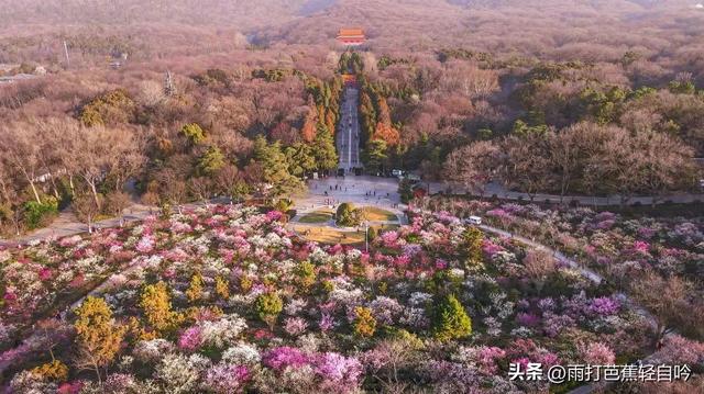 鸡鸣寺要门票吗，鸡鸣寺要预约吗（2023年南京吃住行玩超全攻略）