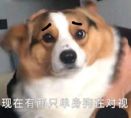 斗图专用，斗图专用表情包熊猫头（表情包，斗图专用表情）