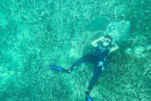 苏梅岛旅游攻略线路，苏梅岛旅游报价（我在这个小岛提早过起夏天了）