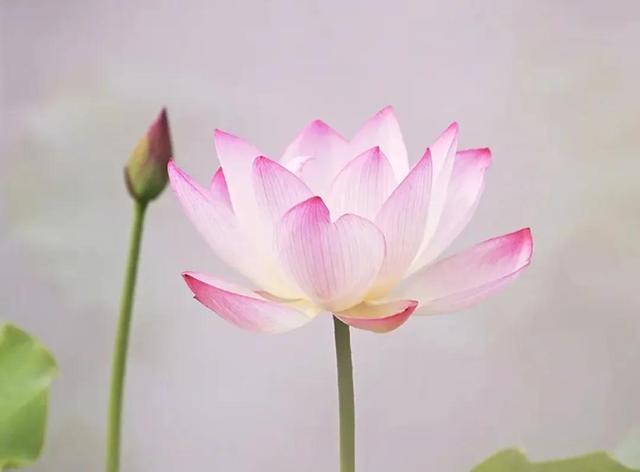 七戒是哪七戒，七戒是哪七戒秒懂百科（人生九戒，你都知道吗）