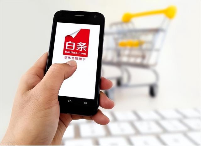 京东白条是什么东西开通好不好，京东白条是什么东西（京东白条个人征信模式）