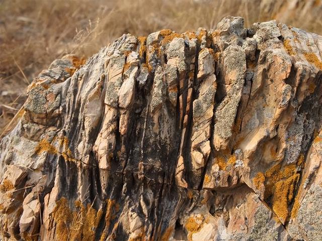 页岩油和石油的区别，页岩油跟石油有什么区别（美国靠开采页岩油经济腾飞）