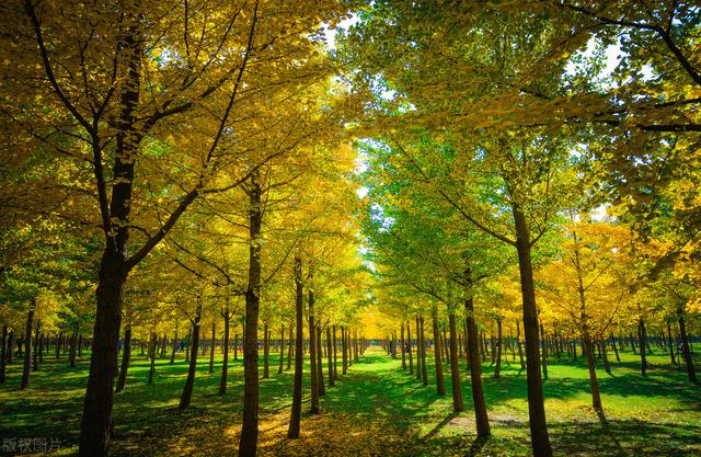 北京湿地公园有哪些景点好玩，北京公园推荐︱10个值得一去的免费公园