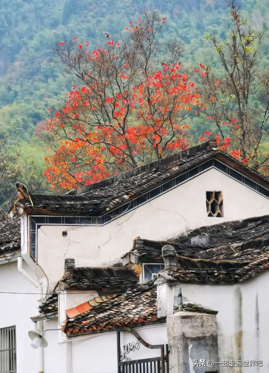 黄山旅游几月份去最好，几月份适合去黄山游玩（国庆爬黄山，10分钟走1米）