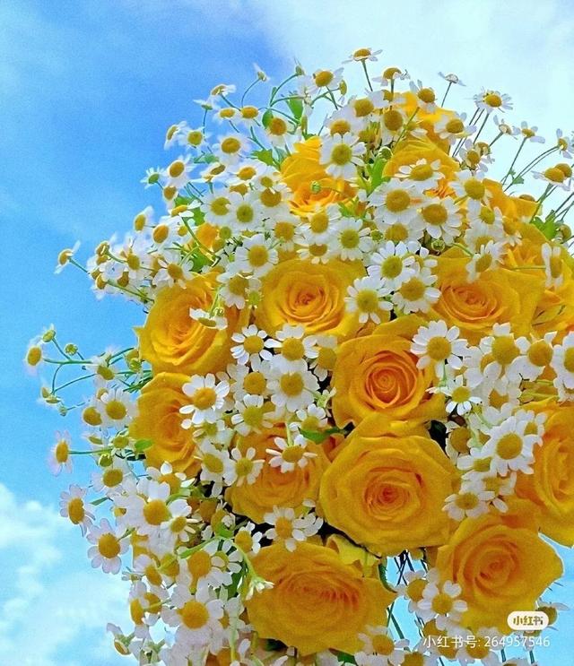 党内警告处分有什么影响，党内严重警告处分有什么影响（受到党内严重警告处分）