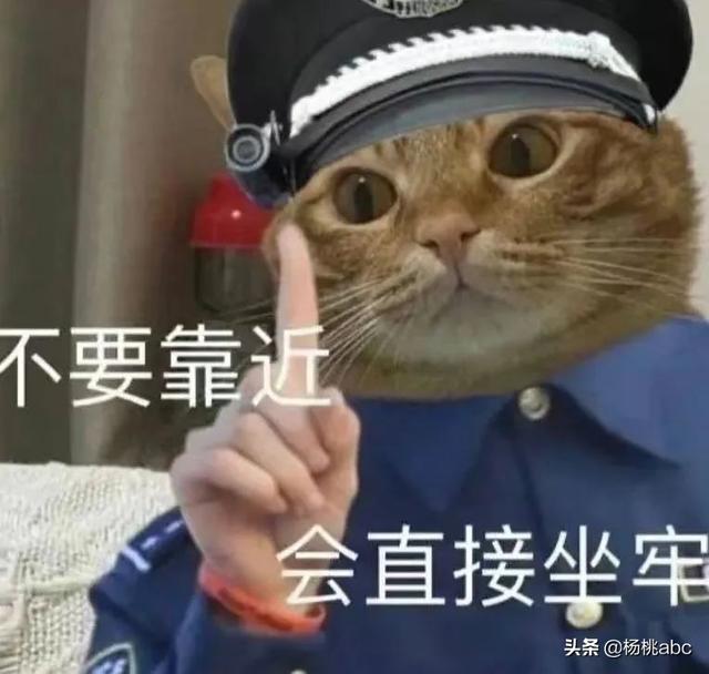 掌上海关能查到的是真的吗，掌上海关靠谱吗（一起来揭秘保税仓的那些事儿）