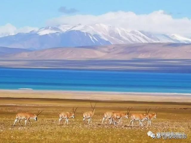 国内最值得旅游的地方，国内最值得旅游的地方是哪里（国内10处风景绝美的地方）
