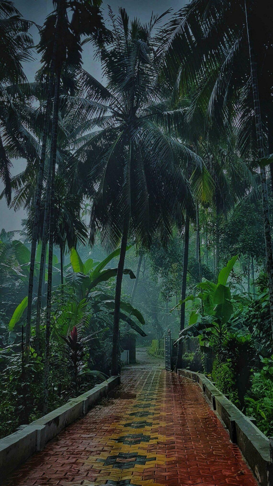 下雨的图片(50张最治愈和最平静的雨中美景) - 赤虎壹号