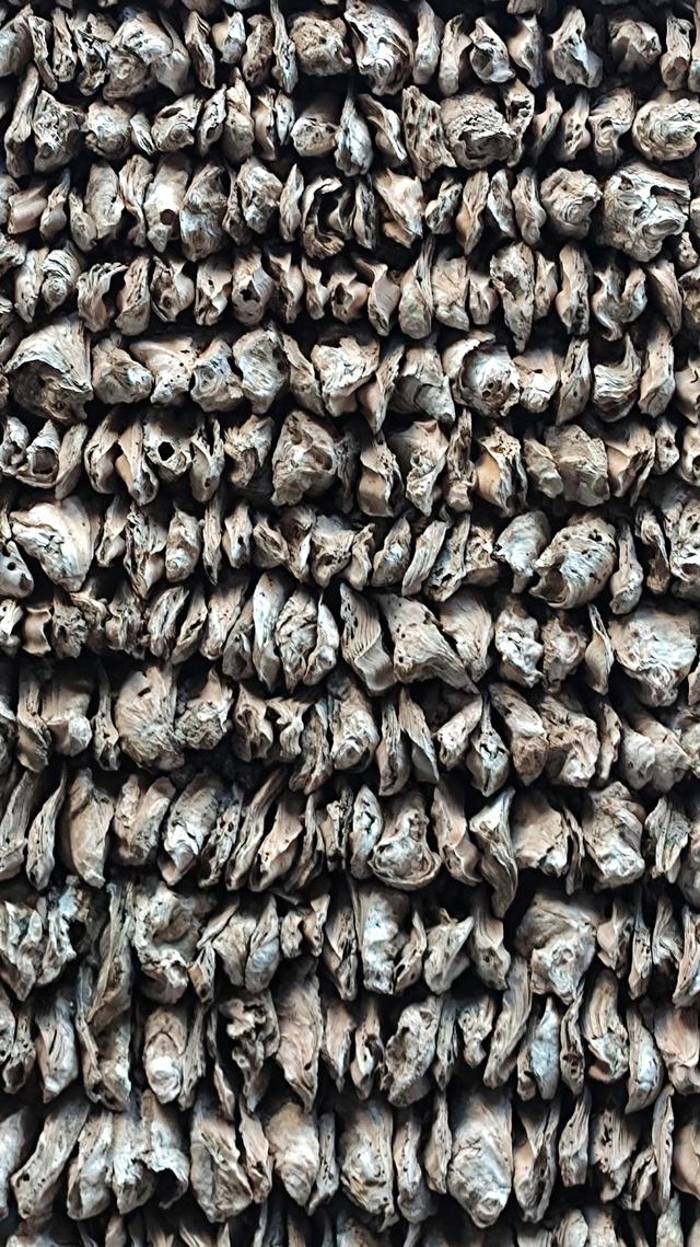 广州小洲村好玩吗，广州好玩的地方——小洲村篇（广州小洲村半日游）