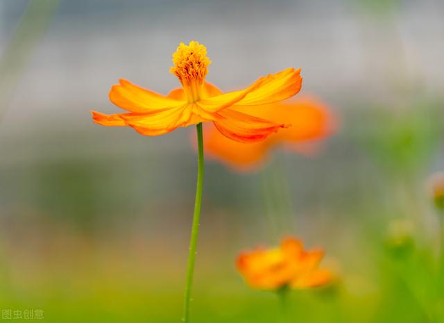 恋君已是二十年，恋君已是二十年真实事件（是我一辈子的在乎）
