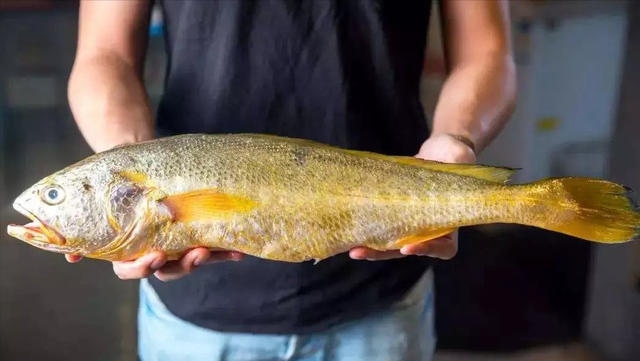 什么鱼适合清蒸，什么鱼适合蒸（带你认识不同的鱼和吃法）