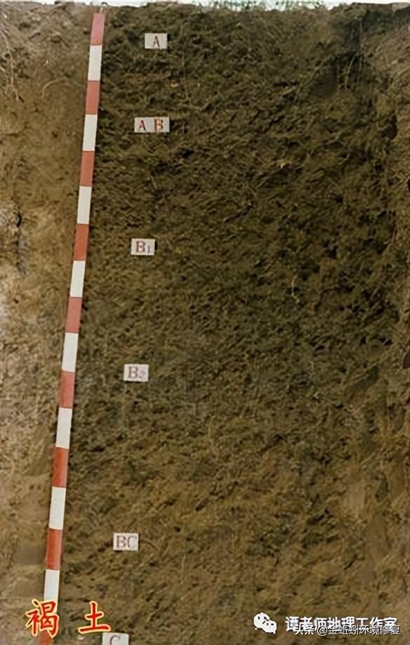 土地性质分类和用途，怎么查个人土地信息（附中国土壤的分类及分布）