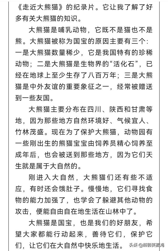 大熊猫优秀作文450字，国宝大熊猫-关于动物的作文450字（三年级语文下册习作7《国宝大熊猫》范文）