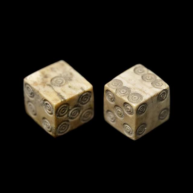 世界灭绝的动物名单，世界灭绝的动物名单网站（30张活久未见的照片）