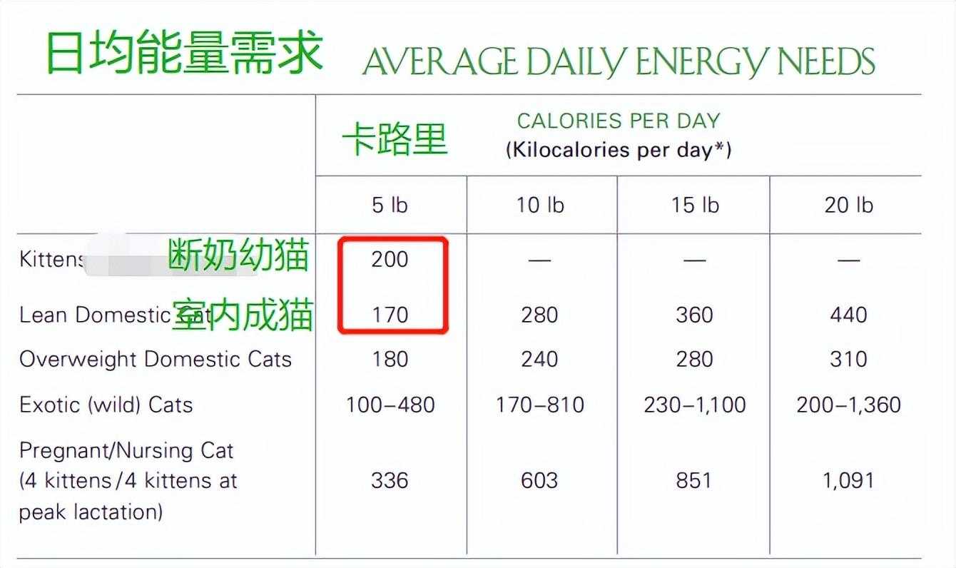 刚断奶小猫一次吃多少粒猫粮 断奶后的小猫一天喂几次