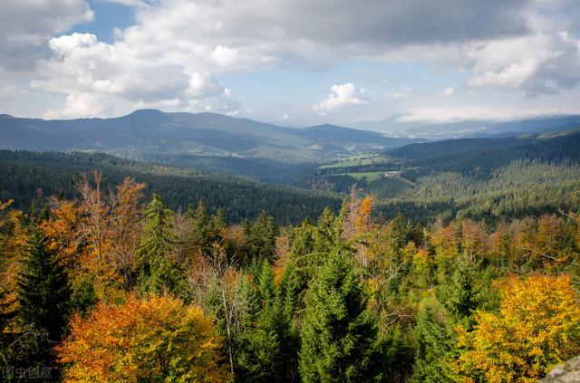 怎么打坐的正确方法，如何确定自己是否怀孕（0基础学静坐：如何快速入定）