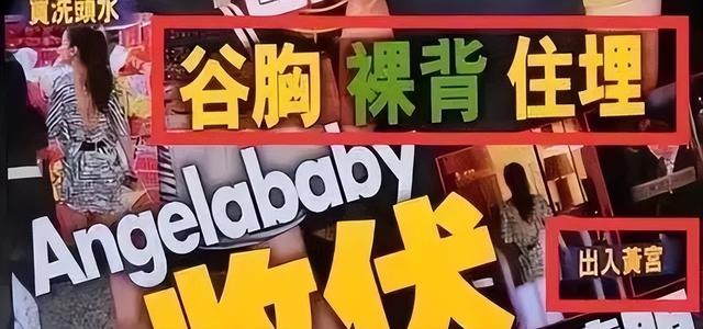 卢觅雪，卢觅雪的演艺经历（最无节操的香港狗仔时代）