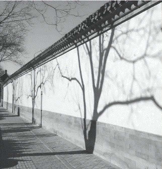 太阳视运动轨迹图解析，太阳视运动轨迹图解（备战23年高考地理一轮复习）