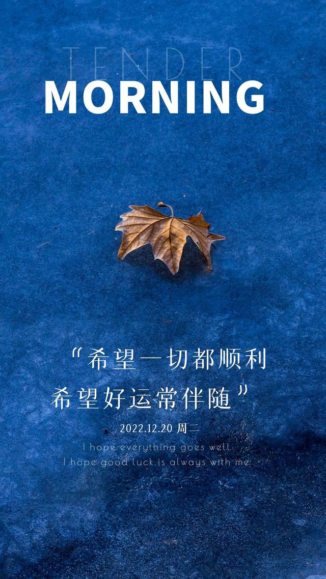 自信阳光微笑的图片,正能量笑脸图片(正能量早安心语文案图片)