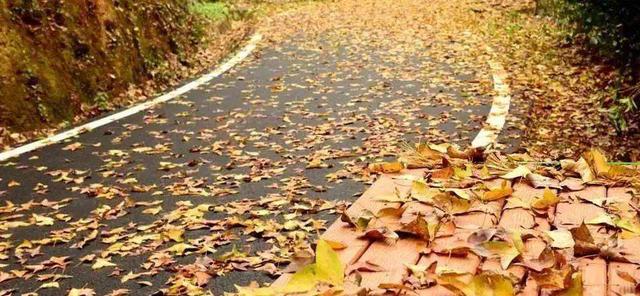 什么的阳光填空词语，什么的田野填空词语（什么的风儿填合适的词语）