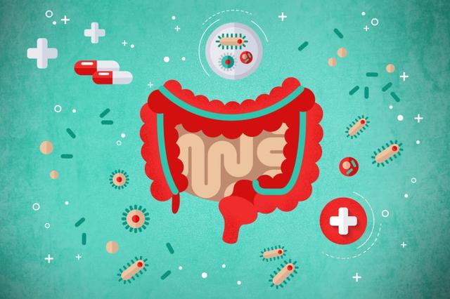 dys是什么意思，dys是什么意思医学（肠道不好为什么容易引发一身病）