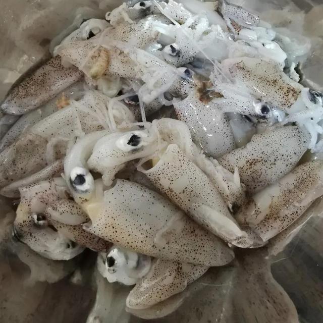 笔管炖豆腐的做法，笔管鱼炖冻豆腐的做法