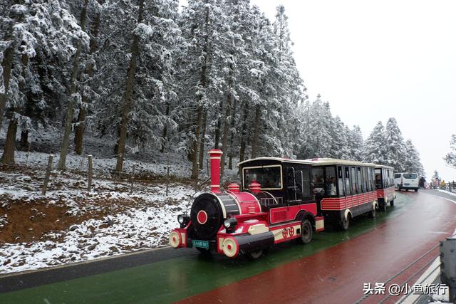 仙女山旅游攻略，重庆仙女山一日游攻略（2021年最全重庆武隆仙女山玩雪赏雪滑雪攻略）