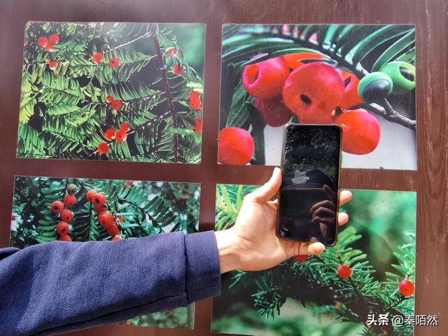 怎样游览邛崃天台山，去邛崃天台山（2022夏日自驾旅行体验）